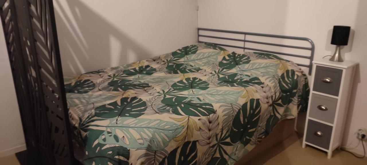 Appartement Pour Cure Et Ski à Bagnères-de-Luchon Extérieur photo
